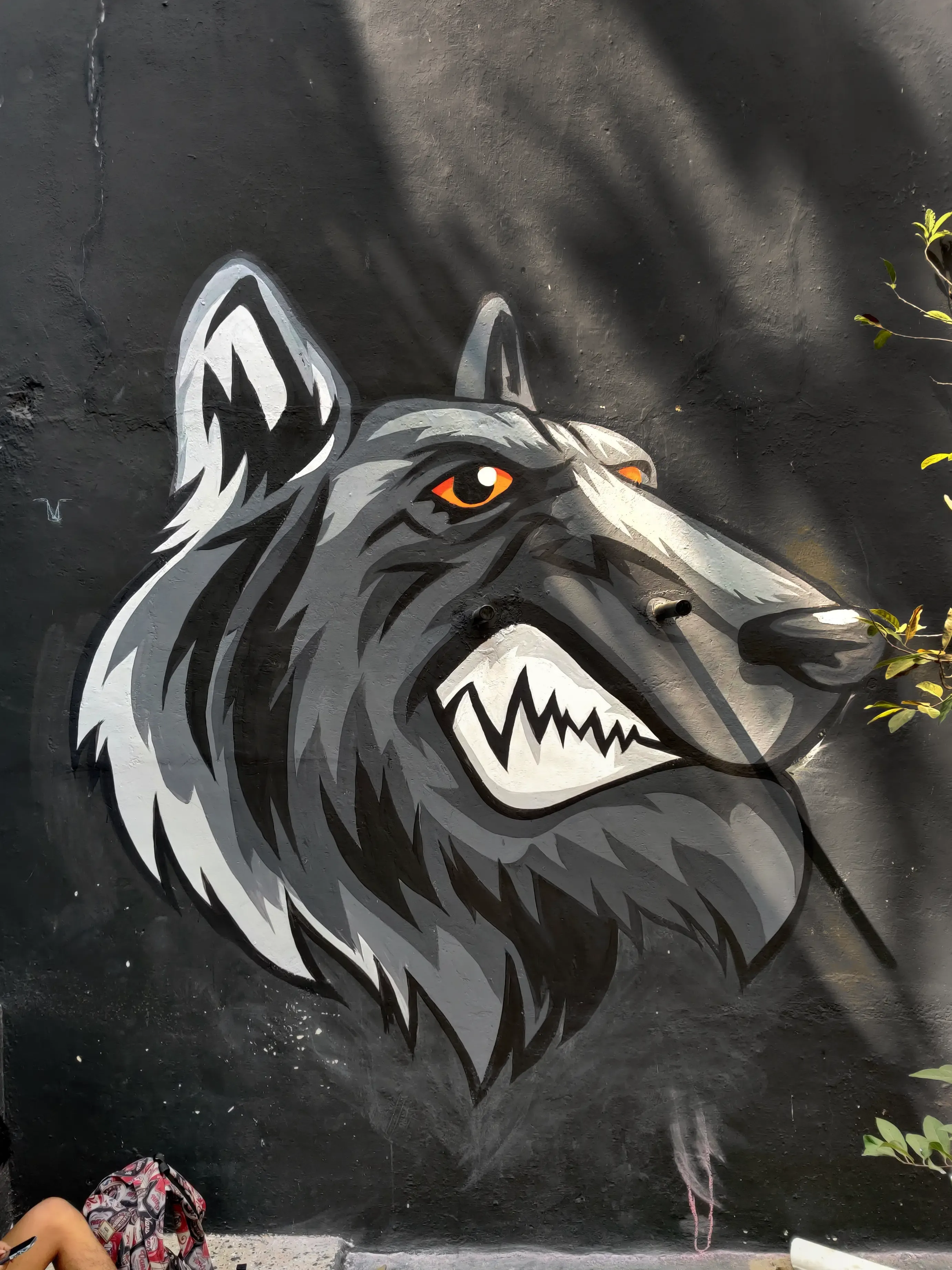 Mural of a grey wolf on a dark grey background.